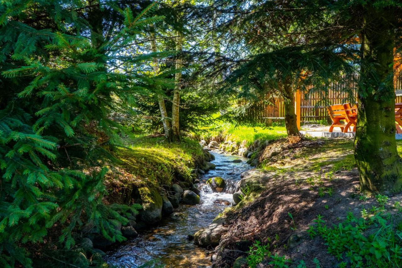 Willa Knieja Murzasichle Bagian luar foto